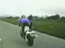 lahyouh